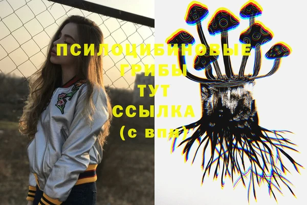 apvp Володарск