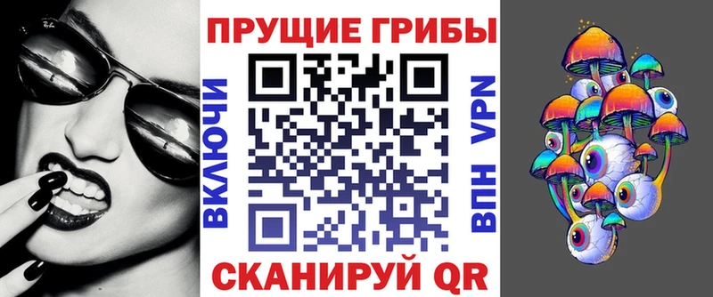 blacksprut ссылка  где купить наркоту  Волчанск  Галлюциногенные грибы MAGIC MUSHROOMS 